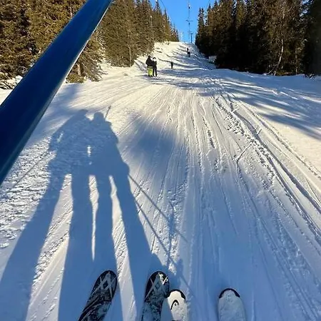 Aurdalsasen Panorama